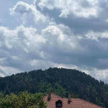 Apartment за гости 