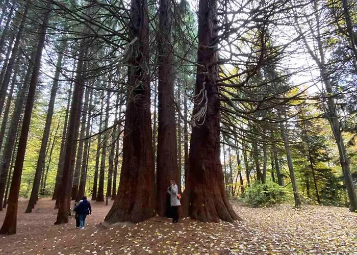 Апартамент за гости 